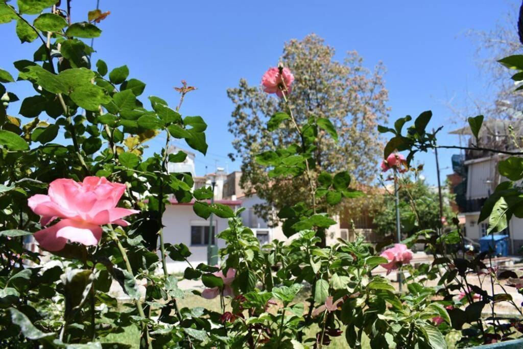"Amelie" - Kalamata Centre Family Apartment Εξωτερικό φωτογραφία